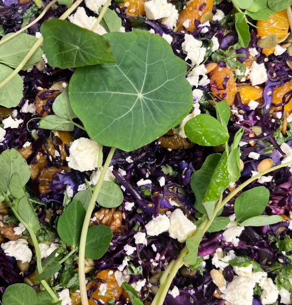 Tilbehør Salat Rabækkens Catering
